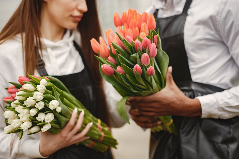 A close-up of two individuals exchanging bouquets of fresh tulips; one person holds a compact bunch of white tulips with green stems, while the other presents a larger bundle of pink tulips with green