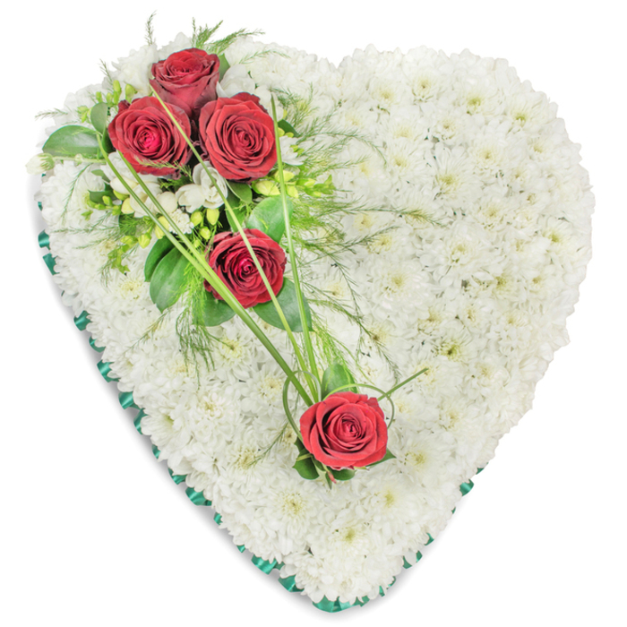 Traditional heart-shaped funeral arrangement resting against a stark white background, beautifully composed to offer comfort and remembrance for families in Feltham. The heart is fully covered with small-headed white chrysanthemums, each stem cut short and carefully inserted so the florets sit tightly together, forming a plush, cushion-like surface. The white blooms create an impression of softness and stillness, evoking purity, peace, and a gentle farewell. Over this calm base, a striking diagonal accent of deep red roses introduces warmth and emotion. At the upper left curve of the heart, three rich red roses are grouped into a focal spray, their velvety petals spiralling towards the centre. They are framed by a mix of dark, glossy leaves and finer, fern-like greenery that spills slightly over the edge of the chrysanthemum cushion. Delicate white filler flowers nestle among the foliage, echoing the pristine background and adding another layer of texture. The diagonal line continues with two more red roses placed lower and toward the right side of the heart, spaced to give the tribute a sense of movement rather than strict symmetry. These blooms are visually linked by long, slender strands of bright green ornamental grass, which sweep gracefully over the white flowers and create soft, curved lines that guide the eye. Encircling the heart is a band of deep green satin ribbon, pleated neatly around the edge to give a tailored, polished finish and a gentle contrast against the white petals. This heart would be a meaningful choice for services in Feltham, whether at local churches, Hanworth Crematorium, or as a graveside tribute, conveying lasting love, gratitude, and sorrow in a dignified floral form.