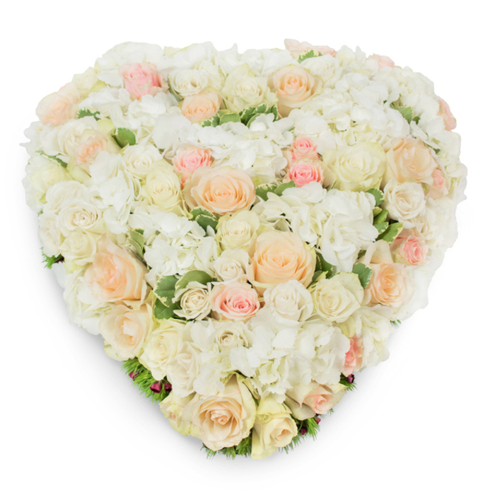 From a slight overhead vantage point on a pure white background, this heart-shaped floral creation reads as an elegant study in soft hues and refined texture. A generous population of roses-ranging from pristine white through warm ivory to the palest peach and blushing pink-creates a layered tapestry of petals, each bloom chosen for size, tone and symmetry so the surface appears both lush and intentionally composed. Interspersed among the roses are generous clusters of snowy white hydrangea; their multi-petaled clusters introduce a cloud-like softness that contrasts beautifully with the sculpted forms of the roses and increases the arrangement's overall volume. Here and there, deep green variegated foliage peeks out, lending a cool, grounding accent and emphasizing the freshness of the cut stems. The heart silhouette is meticulously formed yet retains a subtle handcrafted warmth-slight irregularities in placement feel deliberate rather than accidental, evidence of skilled floral technique. Gentle studio lighting casts a faint, natural shadow beneath the edges, providing dimensionality and underscoring the arrangement's three-dimensional construction. The overall mood is one of composed serenity and heartfelt respect: a refined choice for memorial services, funeral tributes, or moments when understated elegance and comfort are desired. Created with fresh seasonal blooms suitable for delivery to services or homes across Feltham and nearby Hounslow communities, this arrangement communicates lasting affection, remembrance and quiet grace.