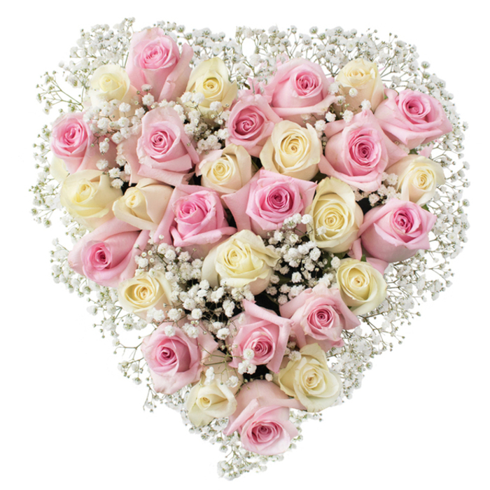 A breathtaking floral heart, thoughtfully composed by Feltham Flowers, sits illuminated against a flawless white background-a vision of serenity and eloquence inspired by the community spirit of Feltham. The form is densely packed with nearly three dozen roses, arranged in a harmonious blend of soft pink and creamy ivory, some petals carrying the faintest trace of buttery yellow at their core. Each rose presents unique textures: from the plush, furled petals of newly opened blooms to the swirling, open faces of mature flowers. Interspersed throughout, the gossamer threads of baby's breath add a weightless, cloud-like effect, enhancing depth and highlighting the softness of the arrangement. The symmetry of the heart is striking-a symbol of lasting admiration and remembrance, thoughtfully designed for moments that demand grace and heartfelt emotion. Bright, balanced lighting gives rise to the gentle colors, making the bouquet feel both uplifting and intimate. This tribute, whether chosen for a memorial at Feltham Cemetery or as a generous gift to a loved one on Mother's Day, encapsulates the sincerity and expertise of Feltham's local florists, offering comfort, thanks, or love to all who receive it.