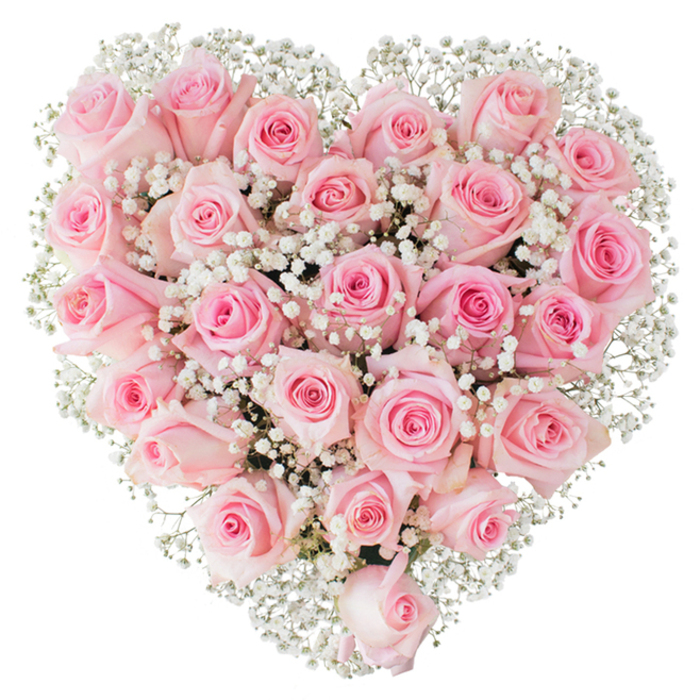 A generous heart-shaped floral composition, densely formed from soft pastel pink roses and interwoven with delicate sprays of white baby's breath, sits against a spotless white background so its subtle hues and textures read with absolute clarity. Each rose varies gently in tone from a soft blush to a warmer pink at its core; some flowers are tightly coiled buds, others unfurling to display layered, spiralled petals that create a tactile, velvety surface across the heart. Between those larger heads the tiny gypsophila blooms float like miniature clouds, their bright white points providing contrast and a lace-like texture that prevents the shape from feeling heavy. The photographic light is bright but soft, giving the petals a slight satiny sheen and casting minimal shadow, which makes the intricacy of each blossom and the careful symmetry of the heart form immediately visible. As a piece intended to communicate profound affection, it balances abundance with delicacy-the roses supply richness, the baby's breath offers air and tenderness-so it suits romantic occasions like Valentine's, anniversaries, engagements or intimate wedding displays. If delivered to a home near Bedfont Lakes or arranged for a quiet reception at a community hall in Feltham, the bouquet's presence would be quietly commanding yet gentle, communicating warmth, devotion, and refined taste without the need for words. The craftsmanship is evident in the even placement of blooms and in the way light and texture interact across the arrangement, a testament to careful floral technique and an understanding of emotional nuance.