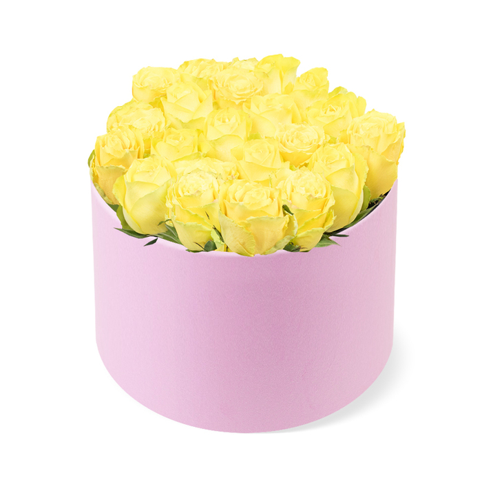 In this image, a chic floral hatbox styled with yellow roses takes centre stage against a bright, uncluttered white background. The container is a round, pastel pink cylinder, its matte finish giving the impression of soft velvet lightly brushed by hand. Resting solidly on the surface, it frames the flowers above with clean, modern lines. The roses fill the box entirely, arranged so densely that they form a rounded dome that extends just beyond the rim, suggesting lavish abundance. Each rose is captured in mid-bloom, petals velvety and layered, curling outwards from a more buttery golden core to luminous yellow tips. As your mind's eye travels across the arrangement, you sense subtle variations in shade and size, which keep the dome from feeling flat, instead offering texture and depth. Tiny threads of fresh green foliage are just visible between blooms, hinting at the stems and structure beneath the surface of petals. The lighting is soft and even, so the yellow and pink tones appear true and gentle, ideal for viewing on a screen. The overall impression is one of joyful elegance, perfectly suited to gifting through a local Feltham florist for occasions like birthdays, graduations, or a special thank-you. You can imagine this hatbox being carried carefully along Hounslow Road or into a home overlooking Feltham Green, its sunny tones instantly brightening the room. The simplicity of the box and the focus on a single flower type speak of contemporary design and attention to detail, qualities that make this arrangement versatile for both home decor and intimate celebrations.