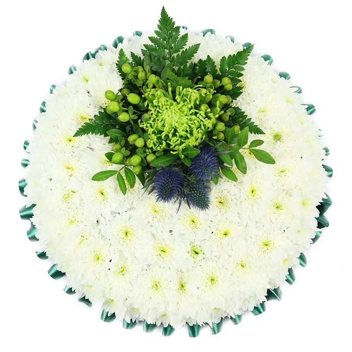 This image shows a meticulously crafted circular memorial cushion, photographed from a bird's-eye view against a clean white background so that nothing distracts from the flowers themselves. The body of the piece is almost entirely composed of compact white spray chrysanthemums, arranged so closely that they form a continuous, velvety surface. Each little flower contributes to a sense of purity and stillness, with a hint of pale green at the centre suggesting gentle life within the calm. This dense white base mirrors the understated, everyday calm felt in Feltham's residential streets away from the main traffic. Framing the arrangement is an emerald green satin ribbon, folded neatly into soft, regular pleats that create a rippling, scalloped border. The satin catches the light, offering subtle glimmers of brightness that enhance the flowers' softness. Near the upper middle of the cushion, a focal cluster interrupts the uniform white, introducing a rich play of greens and cool blues. A lime-green spider chrysanthemum sits at the centre, its slender, curling petals forming an intricate starburst. Around it nestle bright green button mums and glossy Hypericum berries, their rounded forms and vibrant colour evoking new growth and resilience. Fern fronds and lush green leaves cascade gently outward, adding layers and movement, like foliage stirred by a light breeze through one of Feltham's nearby green spaces. Emerging confidently from this foliage are two steel-blue Scottish thistles, their spiky, orb-like heads giving a strong architectural counterpoint to the soft chrysanthemum cushion. The overall impression is of an elegant, respectful funeral tribute that blends classic white serenity with meaningful accents of heritage and nature, well-suited for a farewell service in Feltham where family and friends gather to remember a life with both tenderness and quiet pride.
