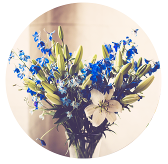 Sympathy Flowers Feltham